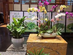 -黔蘑菇四季餐厅(观山湖店)