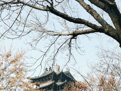 -济南大明湖景区