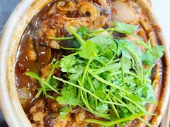 麻辣鲶鱼煲-川香煲(茅台路店)