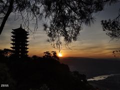 -缙云山景区