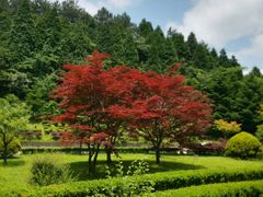-四明山国家森林公园
