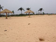 -渡海小渔村.老辈日照菜