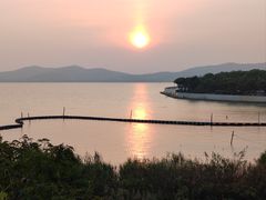 -上海市保健医疗中心