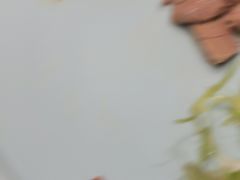 -便宜坊烤鸭店(航天桥店)