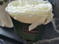 -小苍兰风铃草·礼物蛋糕(沈阳店)