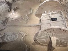 -洛阳周王城天子驾六博物馆