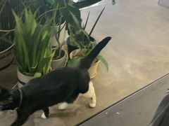 -研途咖啡馆(健康路店)
