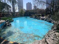 -静安公园(静安寺街道)