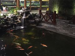 -顺德了能馆(虎门店)