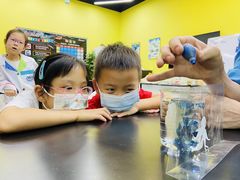 -神奇科学家STEAM科学实验科创赛事机器人编程逻辑思维MadScience(长宁来福士校区)