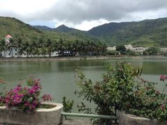 -三亚亚龙湾凯莱仙人掌度假酒店