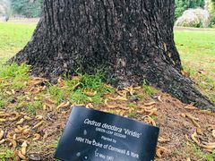 -墨尔本皇家植物园