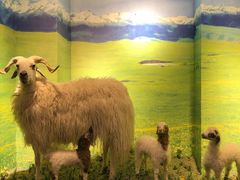 -清真·益鑫羊肉手抓馆(花园北街店)