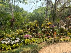 -中国科学院西双版纳热带植物园