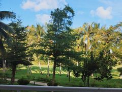 -三亚亚龙湾金棕榈度假酒店