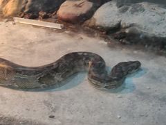 -新疆天山野生动物园