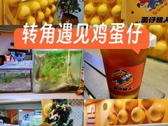 -蛋仔超人·鸡蛋仔·港奶(西华路店)