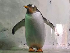 -南昌海洋公园