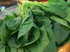 -龍歌自助小火锅(崂山丽达店)