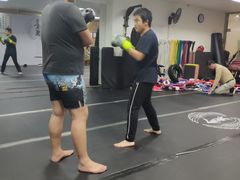 -金翼跆拳道巴西柔术拳击格斗学院