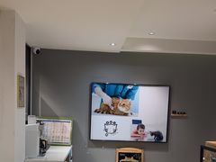 -御宝贝·A梦猫科宠物医院(国际猫友好医院)