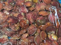 -和源祥·日照菜扛把子(万平口一店)