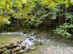 -牛背梁国家森林公园