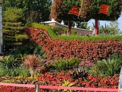 -大兴滨河森林公园