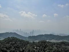 -大金鹰园