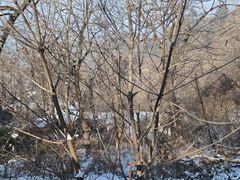 -终南山南五台景区