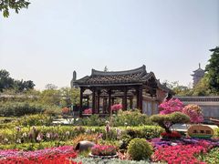 -厦门园林博览苑