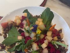 -唐猫庭院·千年陕菜(大唐不夜城店)