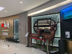 -新白鹿餐厅(虹桥南丰城店)
