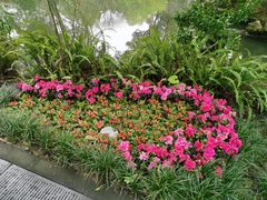 -成都杜甫草堂博物馆