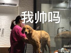 -MOLLY'S萌宠生活馆