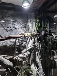 -Zoolung Zoolung动物主题公园(海信广场店)