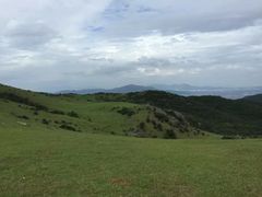 -大姆山草场