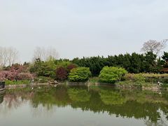 -嘉定紫藤园