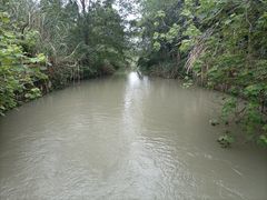 -桤木河湿地公园