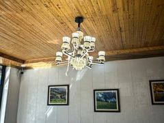 -蘑菇拌面•正宗新疆菜