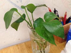 -猫的天空之城概念书店(西塘古镇店)