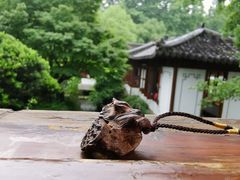 -郭庄茶室