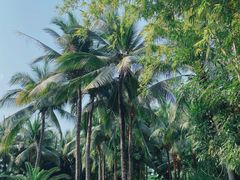 -三亚湾海居铂尔曼度假酒店