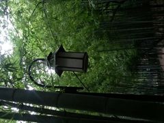 android_upload_pic-宝岩生态观光园