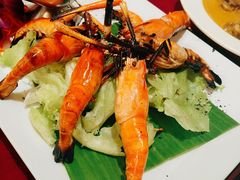 -Daddy Nimman Chiang Mai