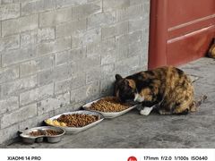 -北京鲁迅博物馆(北京新文化运动纪念馆鲁博馆区)