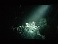 -泉汇购物广场(大沽南路店)