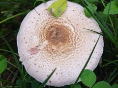 -木塔寺遗址生态公园