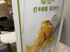 -油梨树AVOCADO TREE(嘉里中心店)