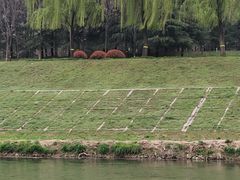 -洨河生态公园